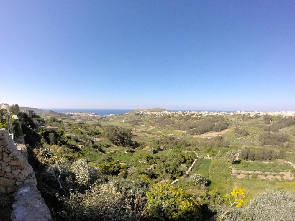Ellie Boo Bed & Breakfast Victoria Εξωτερικό φωτογραφία